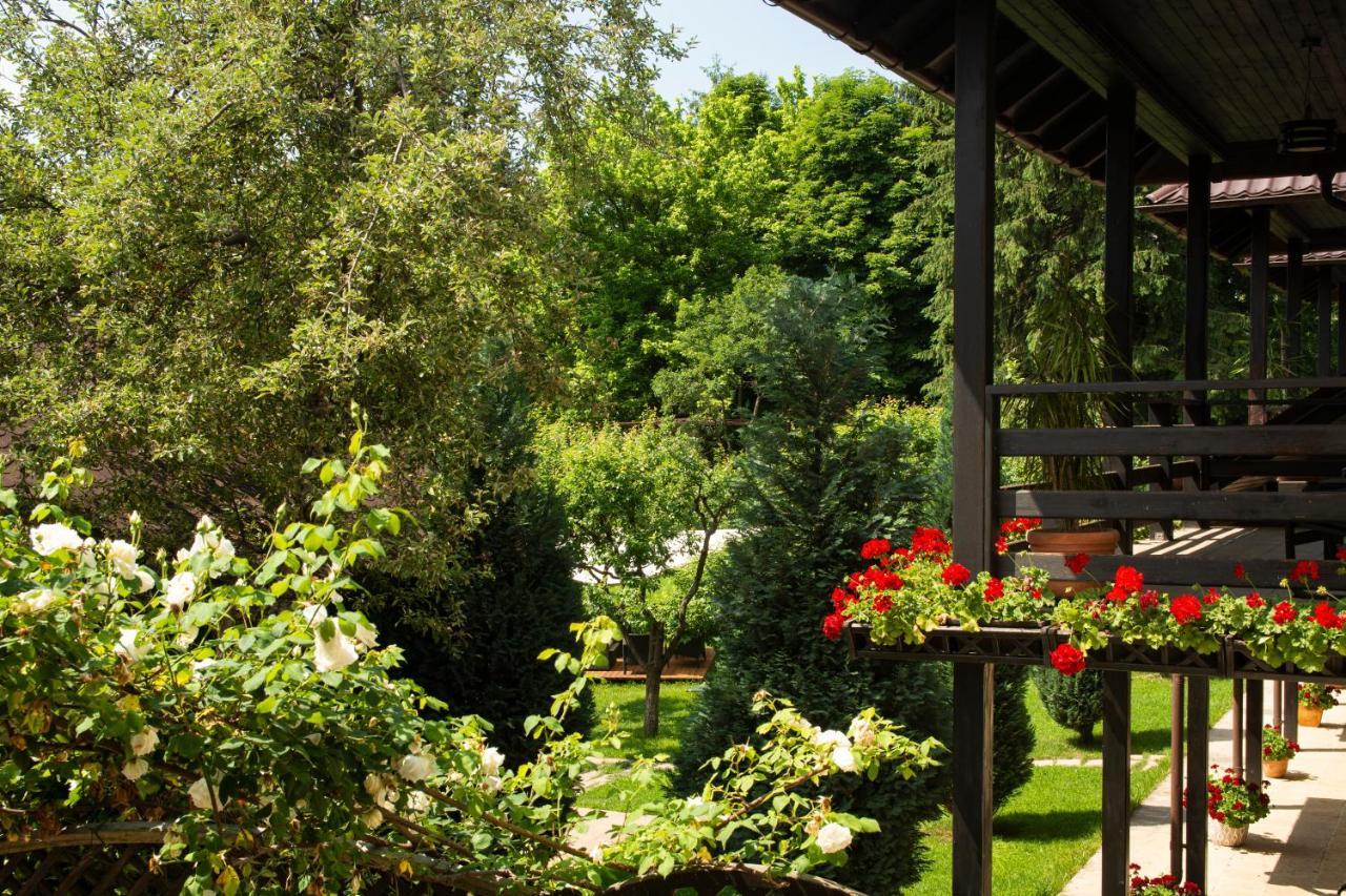 Pension Andra'S House Horezu Εξωτερικό φωτογραφία