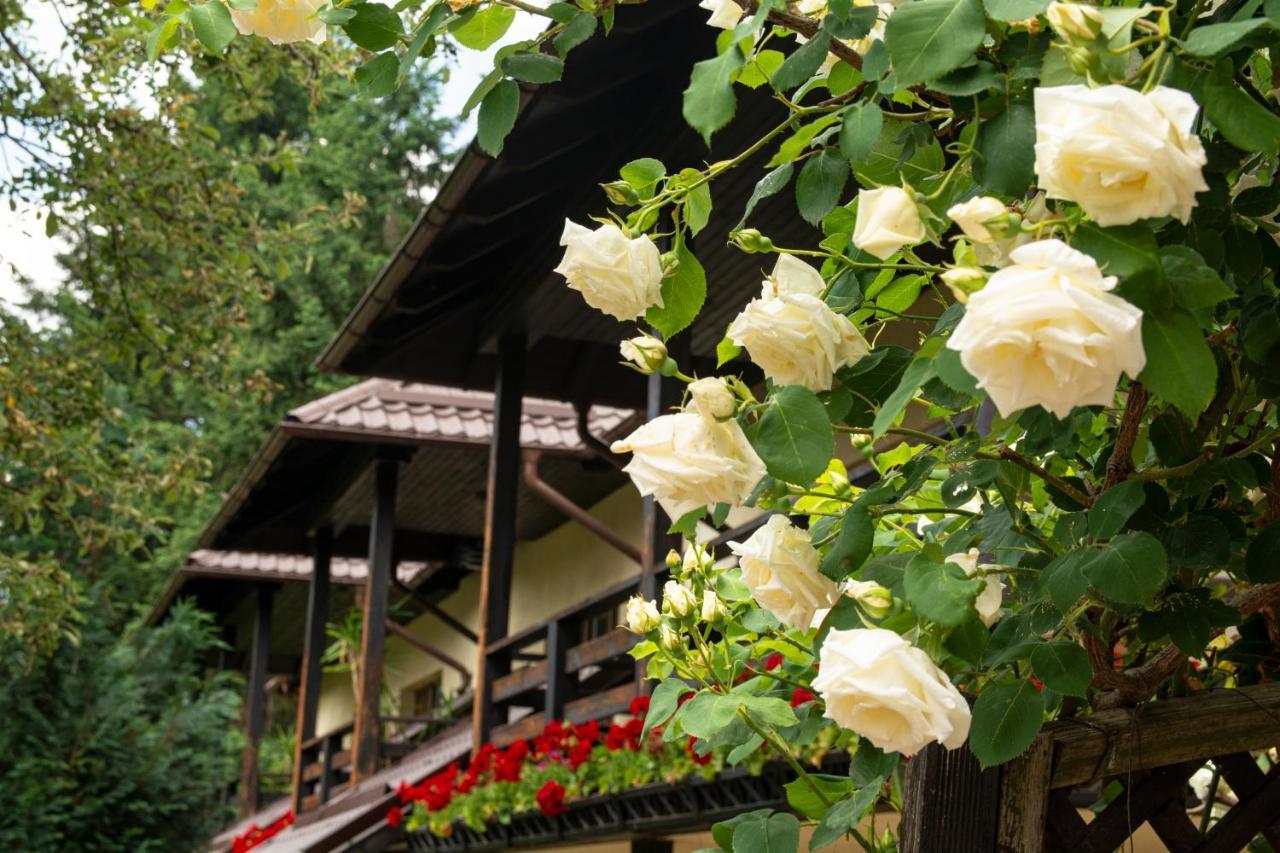 Pension Andra'S House Horezu Εξωτερικό φωτογραφία