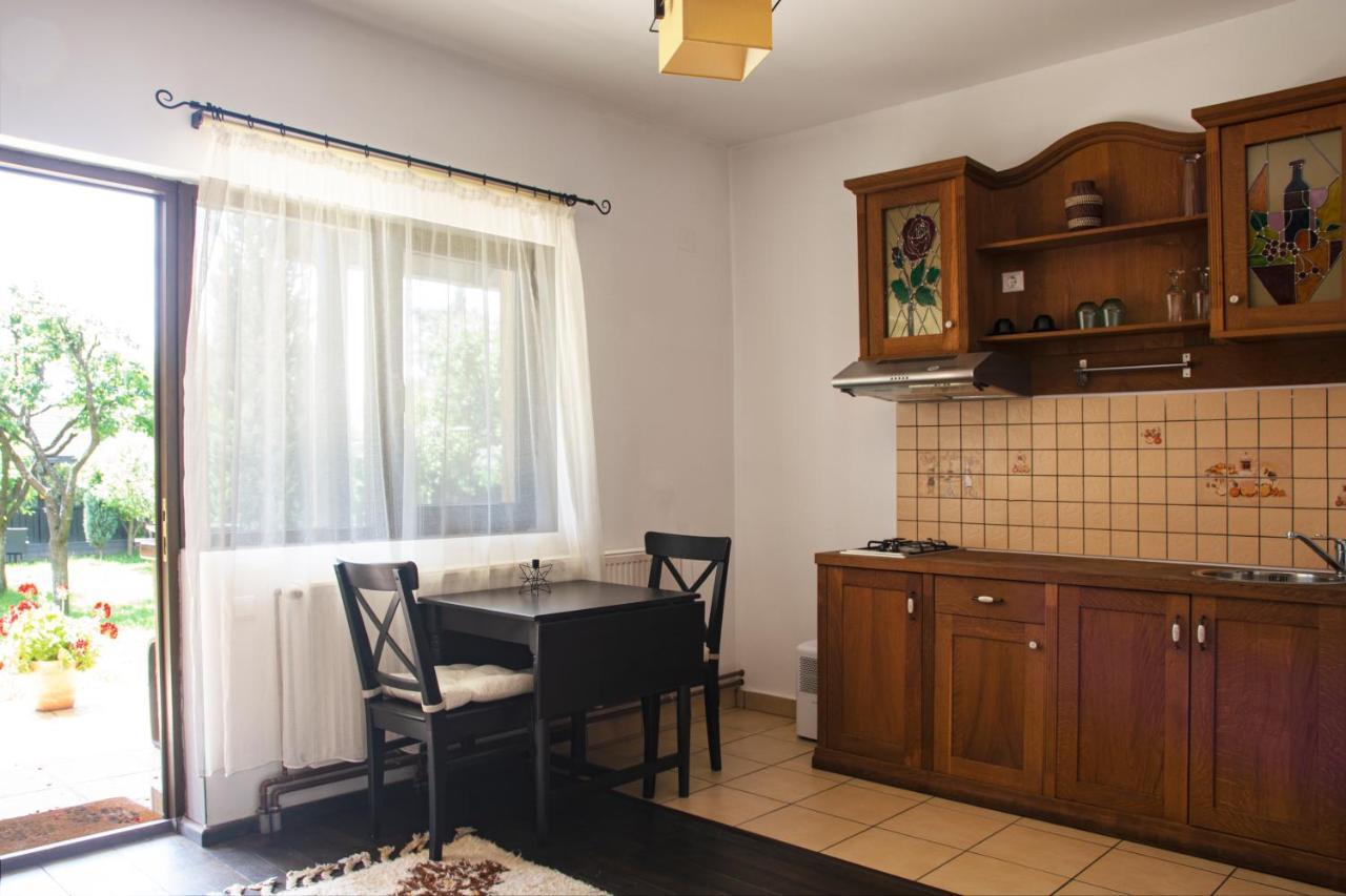 Pension Andra'S House Horezu Εξωτερικό φωτογραφία