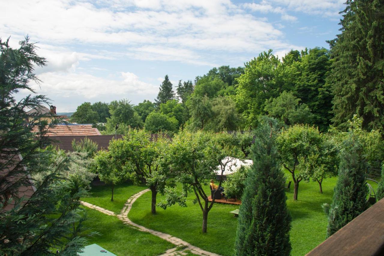 Pension Andra'S House Horezu Εξωτερικό φωτογραφία