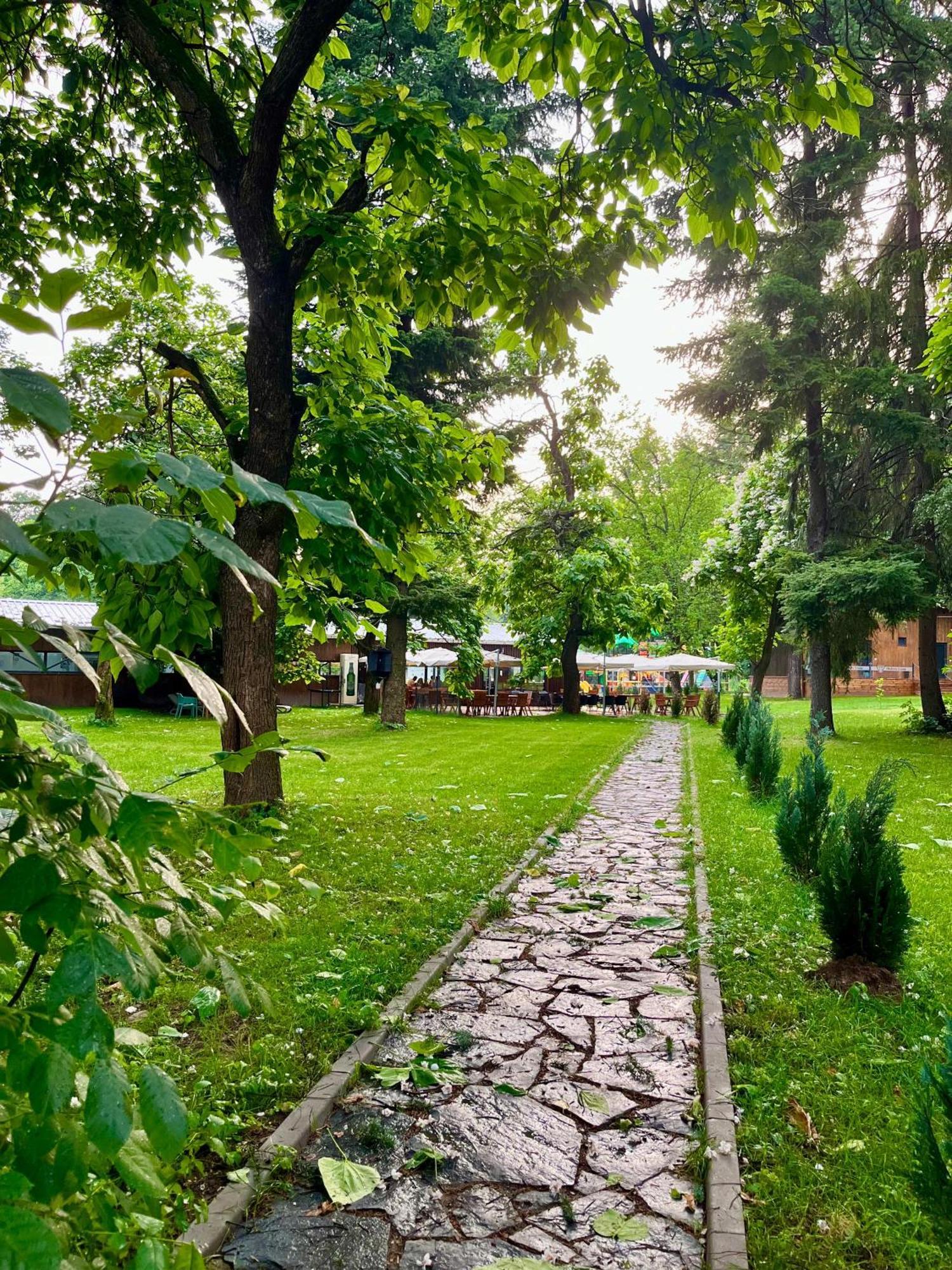 Pension Andra'S House Horezu Εξωτερικό φωτογραφία