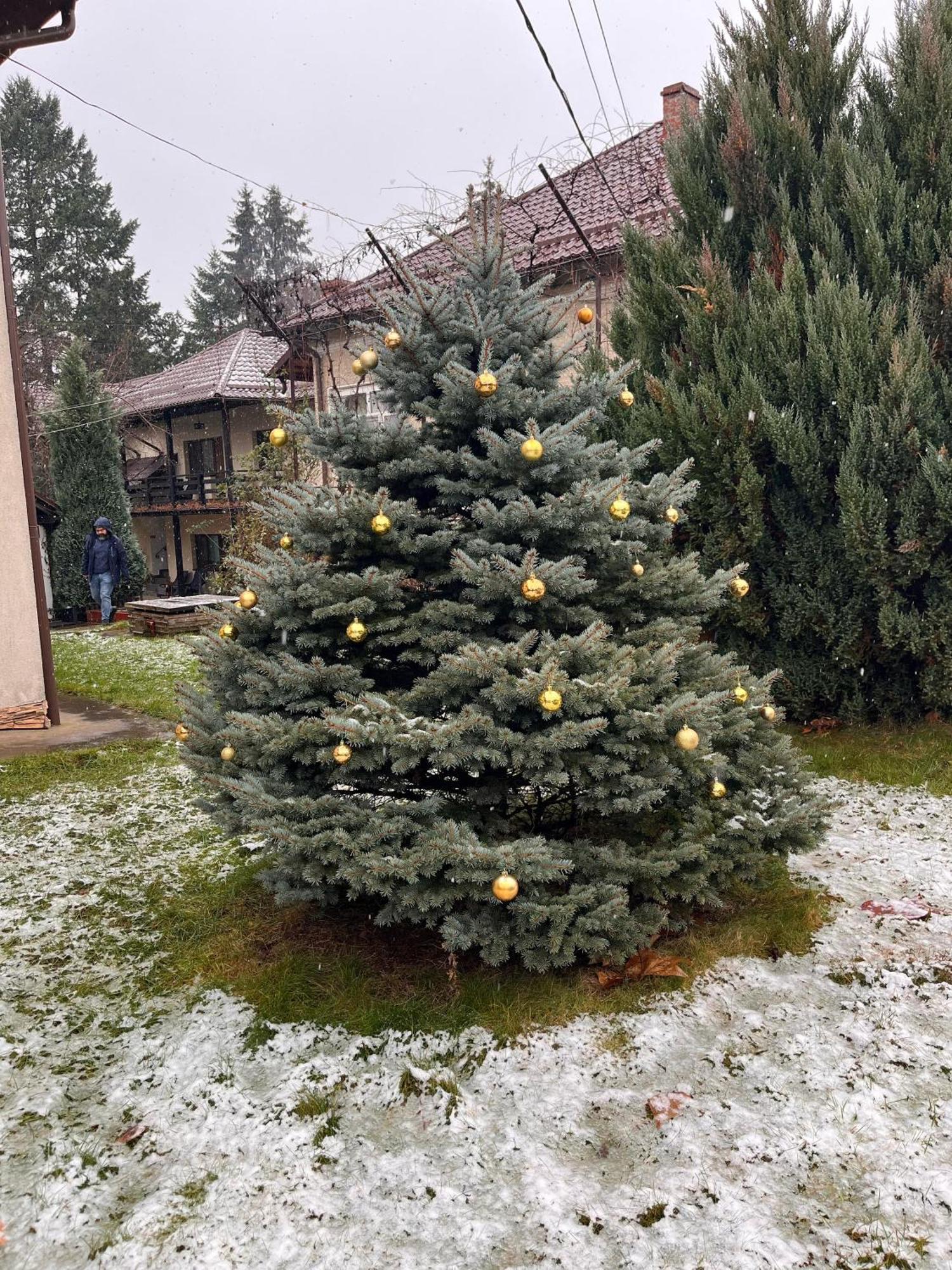 Pension Andra'S House Horezu Εξωτερικό φωτογραφία