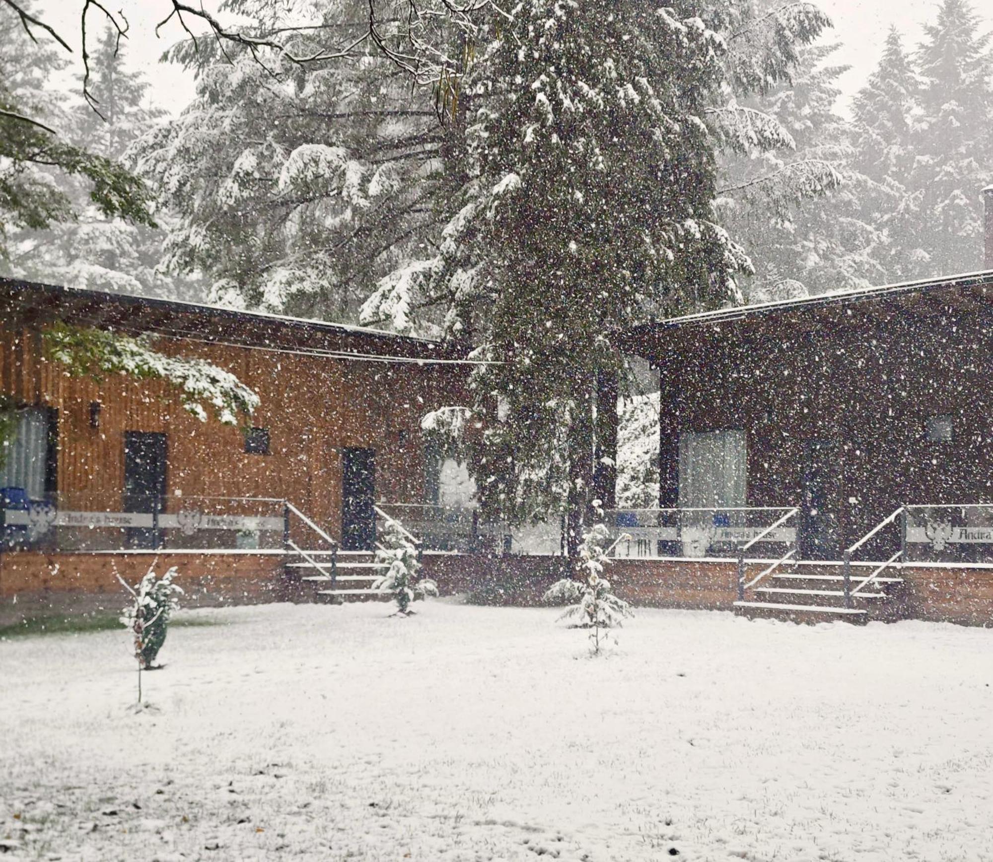 Pension Andra'S House Horezu Εξωτερικό φωτογραφία